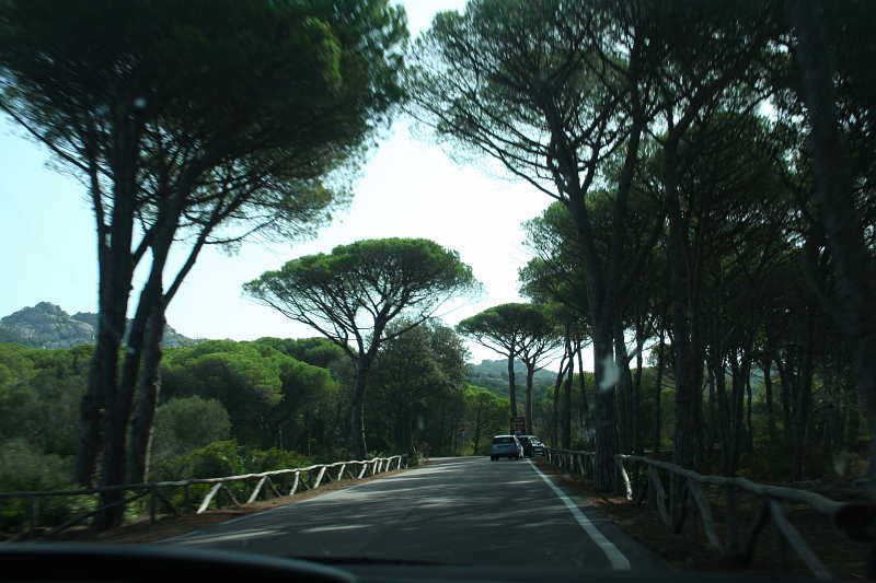 IMG_0777_800.JPG - Caprera