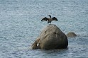 IMG_0598_800