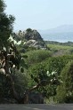 IMG_0789_800