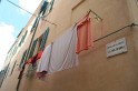 IMG_1151_800