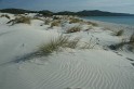 IMG_1369_800