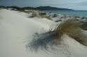 IMG_1371_800
