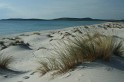IMG_1372_800