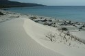 IMG_1385_800