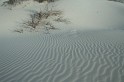 IMG_1387_800