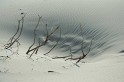IMG_1397_800