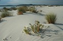 IMG_1407_800